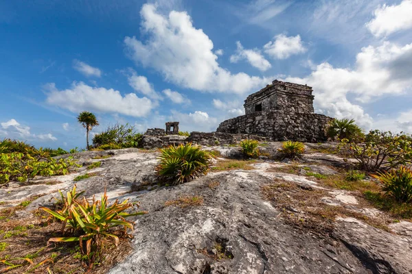 Tulum Mayan Ruins Landscape Mexico Quintana Roo — ストック写真