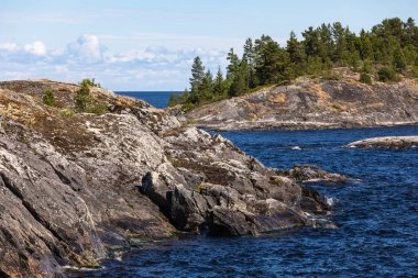 Granit kayalık sahil ve çam ağacı ormanı. 