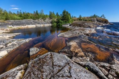 Granit kayalık sahil ve çam ağacı ormanı. 