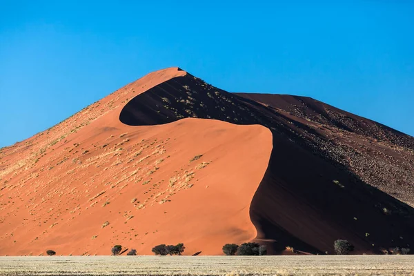 Песчаные дюны пустыни голубое небо — стоковое фото