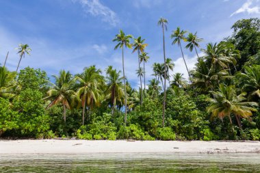 Orman ormanı, beyaz kum kumsalı turkuaz gölü.. 