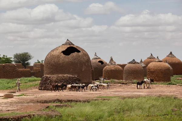 Boer in West-Afrika. landschap met traditionele Afrikaanse modderhutten — Stockfoto