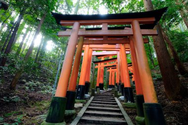 The famous Fushimi Inari gates, wide perspective,- with the forest around it, Kyoto, Japan.