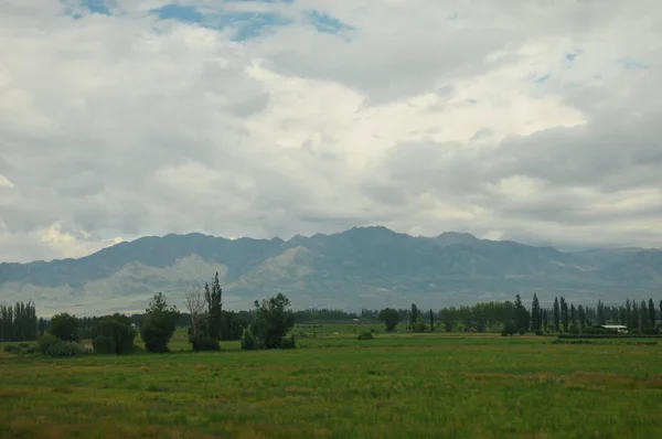Mendoza etekleri