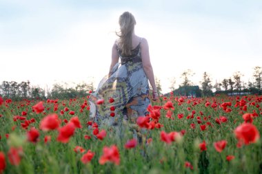 Haşhaş tarlasında elbiseli bir kız.