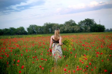 Haşhaş tarlasında elbiseli bir kız.