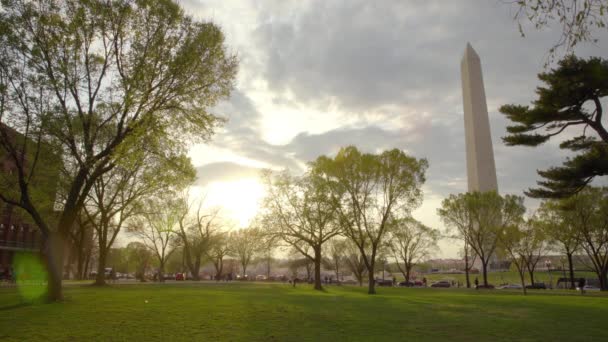 Grama e árvores em frente ao Monumento de Washington — Vídeo de Stock