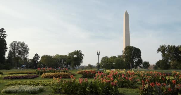 Constituição Jardins com o Monumento de Washington DC — Vídeo de Stock