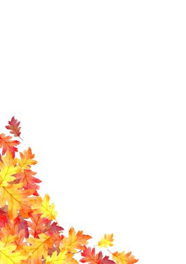 Sonbahar konseptinde kırmızı yaprakların çerçevesi beyaz arka planda izole edilmiştir. Düz konum, üst görünüm, kopyalama alanı.