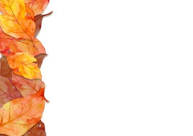 Sonbahar konseptinde kırmızı yaprakların çerçevesi beyaz arka planda izole edilmiştir. Düz konum, üst görünüm, kopyalama alanı.