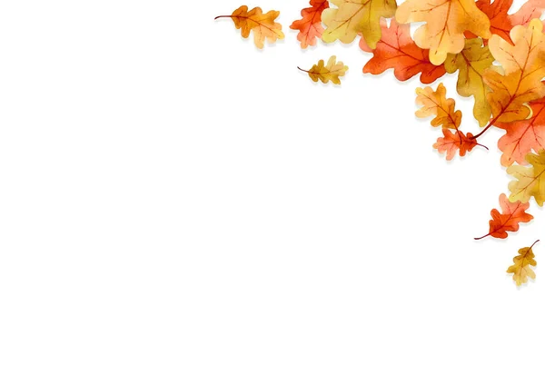 Rahmen Der Blätter Herbst Konzept Isoliert Auf Weißem Hintergrund Flache — Stockfoto