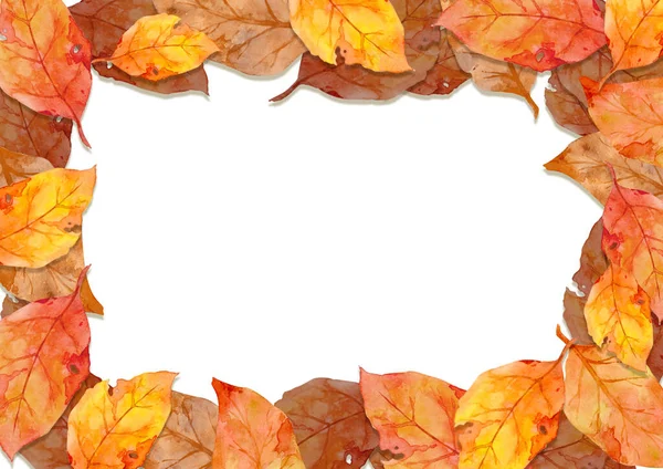 Rahmen Aus Roten Blättern Herbstkonzept Isoliert Auf Weißem Hintergrund Flache — Stockfoto