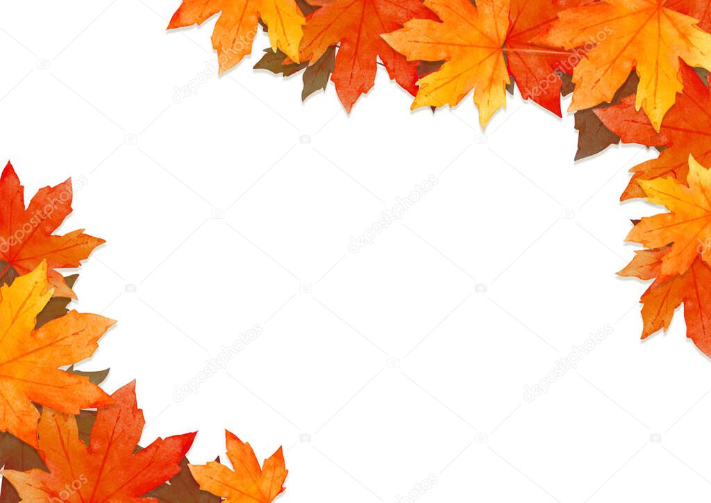 frame of red leaves in autumn concept  isolated on white background. Flat lay, top view, copy space.
