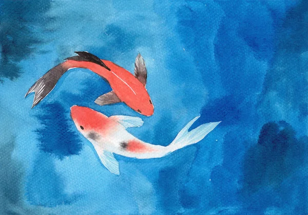 Lukisan Tangan Berwarna Air Dua Ikan Koi Ikan Mas Kolam — Stok Foto