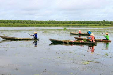 Yazar 11 Ekim 2020 Pazar sabahı bir fotoğraf çekimi yaptı. Long An vilayetinde bir yer, Vietnam. Eşkal: Kızlar nilüfer yaprağı seçiyor. Bu çiçek genellikle güneydeki nehirler ve kanallar boyunca yetişir..