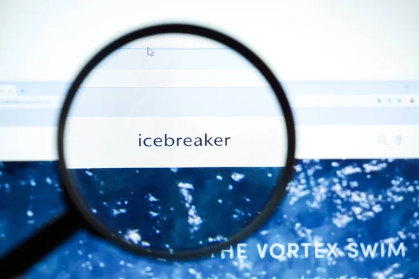 Miami Florida Usa July 2020 Official Website Homepage Icebreaker Logo — Stock Photo, Image