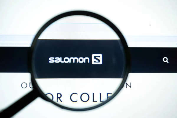 Miami Florida Usa July 2020 Official Website Homepage Salomon Logo — Stock Photo, Image