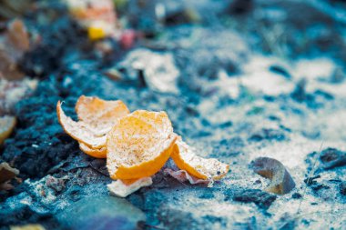 concept of littering of environment. orange peel from the mandarin lies on the road. close up, soft focus clipart