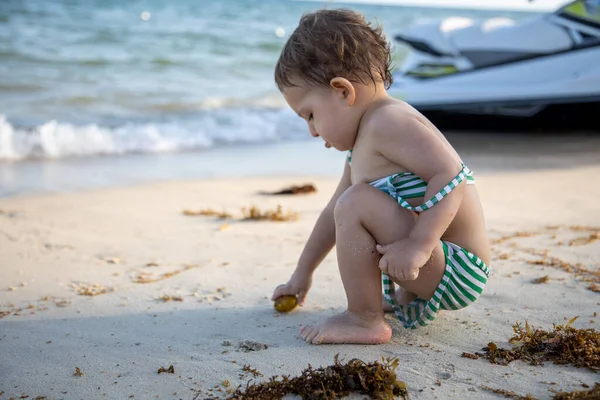 Mały wesoły szczęśliwy dzieciak bawiący się rośliną siedzącą na brzegu morza — Zdjęcie stockowe