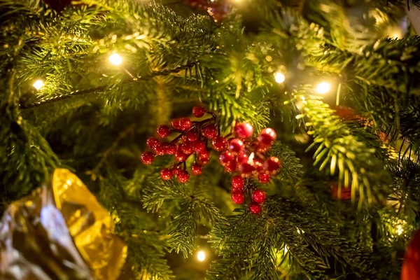 Rode bessen tak close-up decoratie sparren tak. Op de achtergrond takken van een kerst- en nieuwjaarsboom met lichtjes in wazig weer. close-up, zachte focus, — Stockfoto
