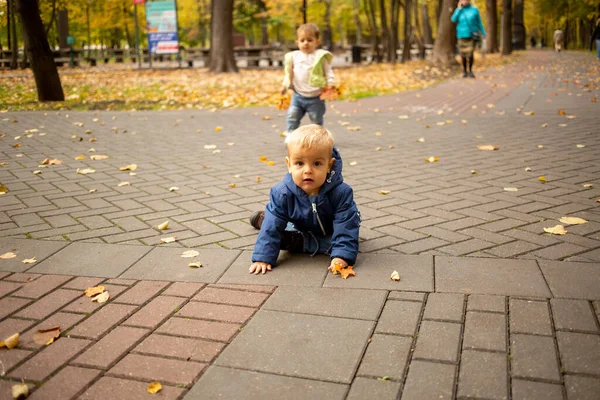 Dos niños pequeños están jugando en el parque de otoño con hojas amarillas — Foto de Stock