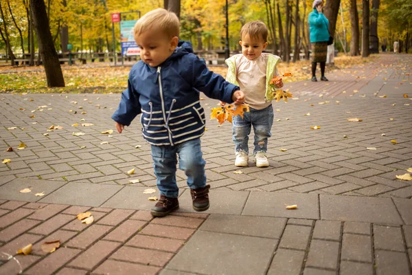 Dos niños pequeños están jugando en el parque de otoño con hojas amarillas — Foto de Stock