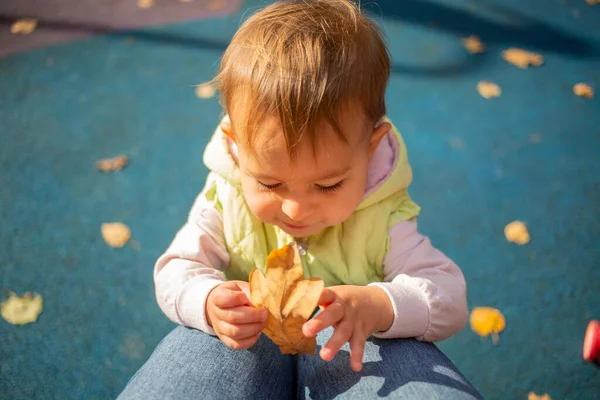 Милая однолетняя девочка, играющая с желтым листком на маминых коленях в осеннем парке в солнечный день. — стоковое фото
