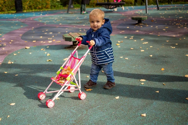 Lindo niño pequeño lleva hojas amarillas en cochecito de bebé en el parque de otoño y sonríe a la cámara — Foto de Stock