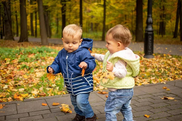 Два малыша играют в осеннем парке с желтыми листьями — стоковое фото