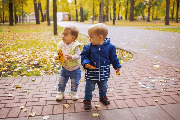 Два малыша играют в осеннем парке с желтыми листьями — стоковое фото