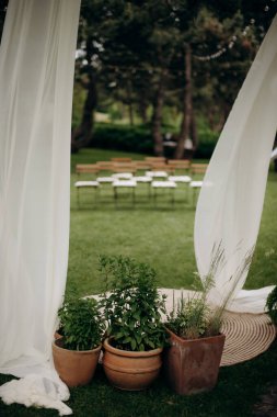 Çağdaş moda düğün dekoru kil kaplar ve beyaz kumaşlı yeşil bitkiler. Çam ağaçlarının arasındaki çimenlikte bir düğün. Yakın plan. Düğün kutlaması