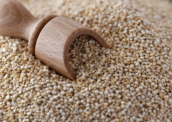 Makrobild Von Wundernahrung Quinoa Auf Pflanzlicher Basis Ungekocht Mit Einem — Stockfoto