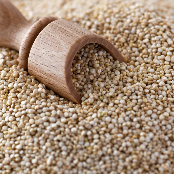 Quadrat Nahaufnahme Bild Von Wundernahrung Pflanzliche Quinoa Ungekocht Mit Einem — Stockfoto