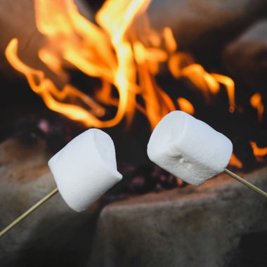 Kavurma marshmallow için kopya alanı filtre arka plan bulanık metin yer paylaşımı için kullanılan, bir kamp ateşi üzerine bir kare görüntü