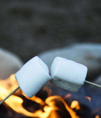 kopyalama alanı filtre için ateş bir kamp ateşi üzerinde marshmallows kavurma dikey görüntü arka plan bulanık metin yerleşimi için kullanılan. 