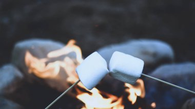 Kavurma marshmallow için kopya alanı filtre vurdu bir kamp ateşi üzerinde arka plan bulanık metin yerleşimi için kullanılan 