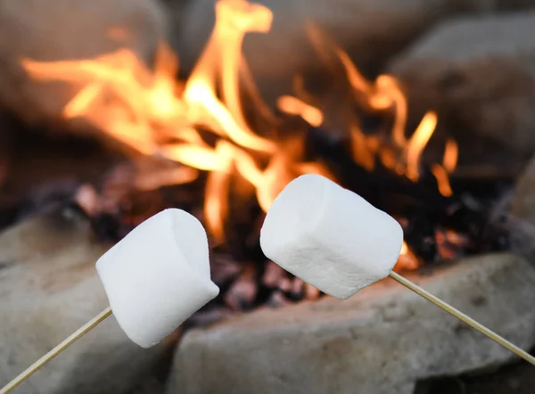 roasting marshmallows over a campfire , shot for copy space  focus on foreground , blurred background for text overlay