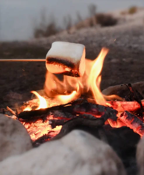 Vertical Image Marshmallows Being Roasted Open Campfire Late Summer Nights — Stock Photo, Image