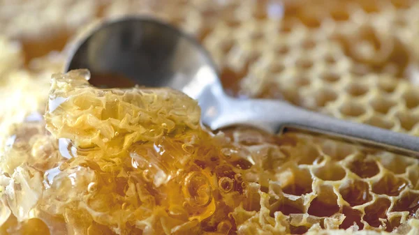 Honey comb 2 — Stock Photo, Image