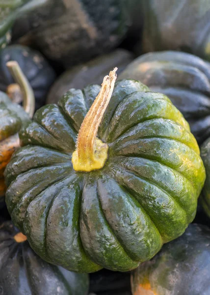 Courge d'hiver Kabocha — Photo