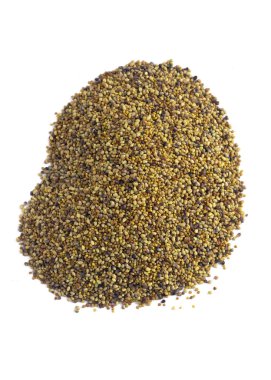 Makroda beyaz karede izole edilmiş yonca tohumu yığını.