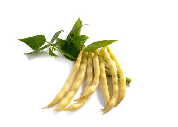 Frijoles Cera Francés Aislados Sobre Fondo Blanco Cerca Con Vegetación — Foto de Stock