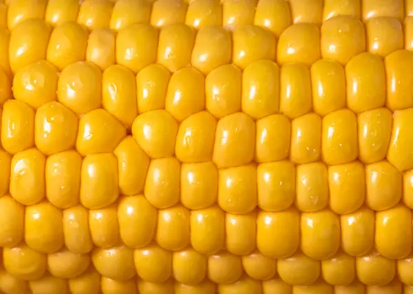  Koçandaki leziz sıcak mısırın tam görünüm arkaplanını kapat 