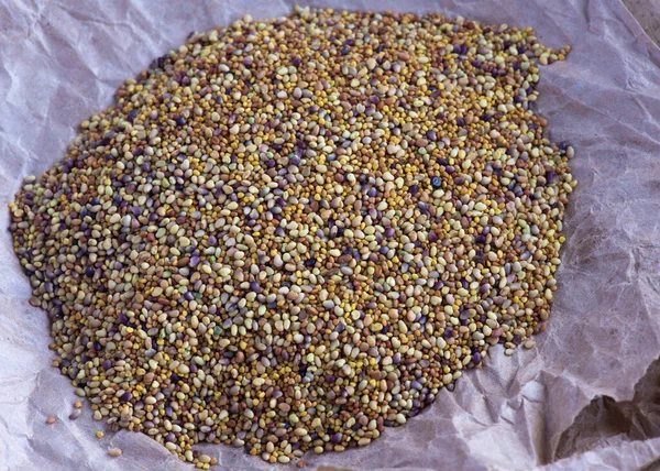 Pile of clover seeds shot from above on white paper ready to sow. space for text overlay in the background — Stock Image Pile Clover Seeds Shot White Paper Ready Sow Space Text Royalty Free Stock Photos