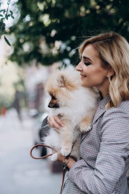 Pomeranian Spitz köpek cinsi köpeğiyle yürüyüşe çıkmış güzel sarışın bir kadın. Küçük tüylü köpek. Yumuşak seçici odak.