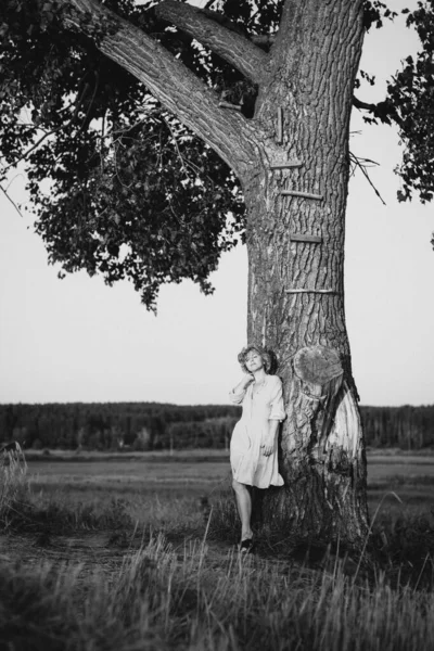 Beautiful Free Girl Light Summer Dress Field Large Tree Sunset — Stock Photo, Image