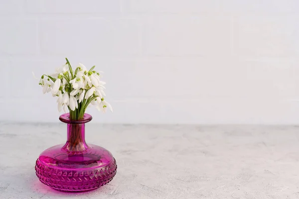 Bukiet Wiosennych Kwiatów Kropel Śniegu Szklanym Wazonie Koloru Fuksji Jasnym — Zdjęcie stockowe