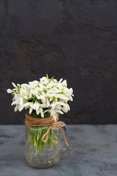 Buquê Flores Primavera Nevascas Vaso Vidro Fundo Concreto Cinza Copiar — Fotografia de Stock