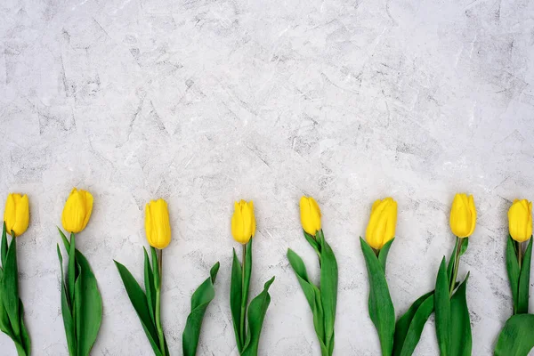 Una Fila Fiori Tulipano Giallo Primaverile Uno Sfondo Pietra Chiara — Foto Stock