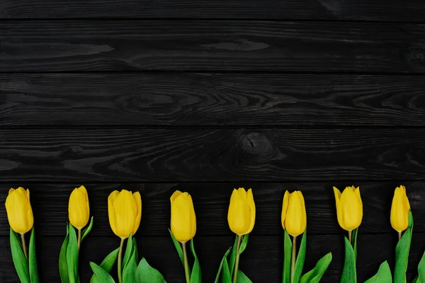 Eine Reihe Gelber Frühlingstulpenblüten Auf Schwarzem Holzgrund Flach Lag Kopierraum — Stockfoto